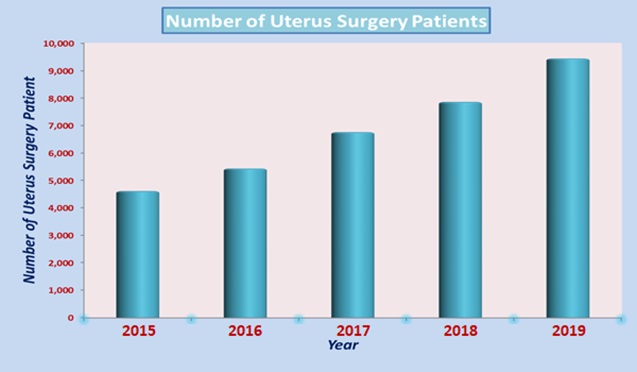 Low Cost Uterus Surgery In India